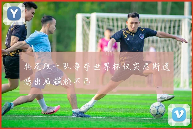 非足联十队争夺世界杯仅突尼斯遗憾出局尴尬不已