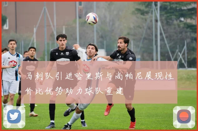 马刺队引进哈里斯与尚帕尼展现性价比优势助力球队重建