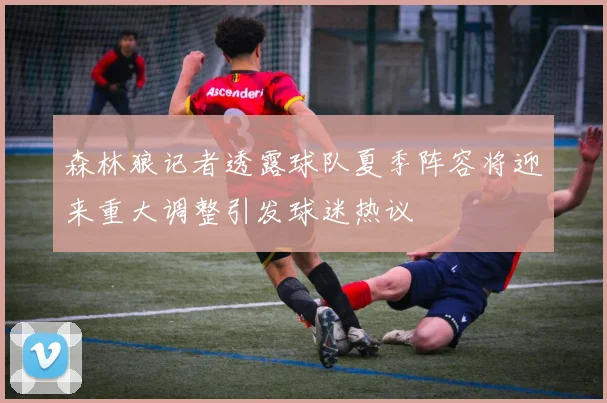 森林狼记者透露球队夏季阵容将迎来重大调整引发球迷热议